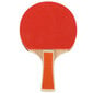 REGAIL A508 Ping Pong Balls Melat setti Pöytätennis Handshake Maila setti Home Entertainment Orange hinta ja tiedot | Pingismailat | hobbyhall.fi