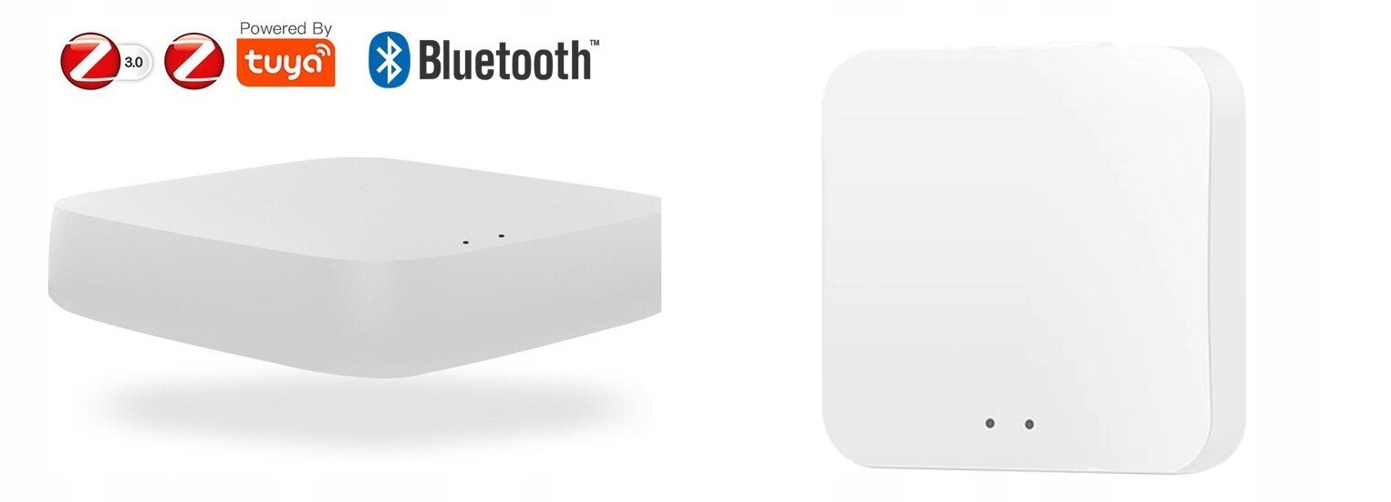 Älykäs portti ZigBee 3.0 Bluetooth Wi-Fi portti TUYA SMART LIFE hinta ja tiedot | Porttiautomatiikka | hobbyhall.fi