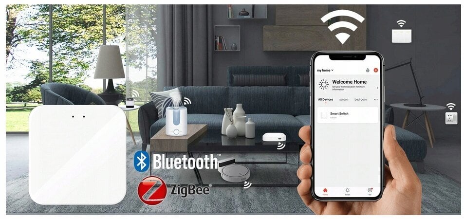 Älykäs portti ZigBee 3.0 Bluetooth Wi-Fi portti TUYA SMART LIFE hinta ja tiedot | Porttiautomatiikka | hobbyhall.fi