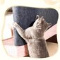 Cat Scratching Mat Cat Scratcher Sohvateippi Scratch Post Itsekiinnittyvä matto Kissat Scratch Board Cat Tarvikkeet hinta ja tiedot | Raapimispuut ja kiipeilypuut | hobbyhall.fi