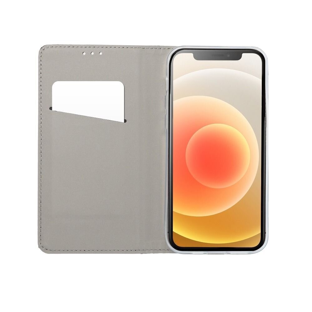 Smart Case Book varten iPhone 11 kultainen hinta ja tiedot | Puhelimen kuoret ja kotelot | hobbyhall.fi