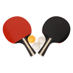 REGAIL Ping Pong Mela setti Kannettava pöytätennissetti kantolaukulla 2 mailaa 3 palloa valkoinen hinta ja tiedot | Pingismailat | hobbyhall.fi