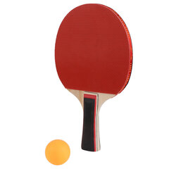 2 kpl Pöytätennismelat 3 kpl Tennispallot Professional Paddles Pallosetti laukkulla hinta ja tiedot | Pingismailat | hobbyhall.fi