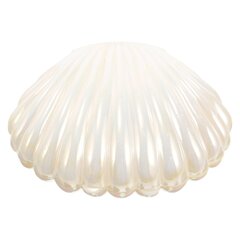 Shell Trinket Box Sormusteline Seashell Decor Box Korut Säiliö Sormukset Korvakoru Teline hinta ja tiedot | Säilytyslaatikot ja -korit | hobbyhall.fi