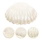 Shell Trinket Box Sormusteline Seashell Decor Box Korut Säiliö Sormukset Korvakoru Teline hinta ja tiedot | Säilytyslaatikot ja -korit | hobbyhall.fi