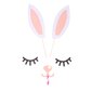 5 Sarjaa Rabbit Decor Sarjakuva Cake Pick Rabbit Topper Cake Decor Cupcake Pick hinta ja tiedot | Juhlakoristeet | hobbyhall.fi