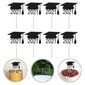 24 Kpl Kakkukoristeita, Graduation Cake Toppers For Cupcake hinta ja tiedot | Juhlakoristeet | hobbyhall.fi