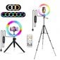 RGB Ring Light Pyöreä kaukosäädin älypuhelimeen Mobiili Led Video Light Lamp valokuvaus valaistus Youtube Only Light hinta ja tiedot | Kameratarvikkeet | hobbyhall.fi