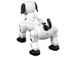 Lean Toys kauko-ohjattava robottikoira, valkoinen hinta ja tiedot | Poikien lelut | hobbyhall.fi