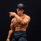 Street Fighter Fei-Long keräilytoimintahahmo lisävarusteineen hinta ja tiedot | Poikien lelut | hobbyhall.fi