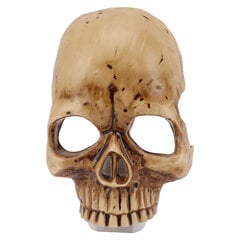 Skull Night lampun pistoke seinään säädettävä kirkkaus Hartsi Skeleton Night Light Skull seinäkoristelu Halloweeniin EU Plug 220V hinta ja tiedot | Lastenhuoneen valaisimet | hobbyhall.fi