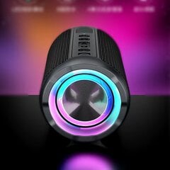 Kannettava Bluetooth-kaiutin 30W IPX7 vedenpitävä tehokas äänilaatikko Bass Boost BT5.3 RGB Dual Pairing TWS Connectivity hinta ja tiedot | Kaiuttimet ja soundbarit | hobbyhall.fi