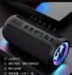 Kannettava Bluetooth-kaiutin 30W IPX7 vedenpitävä tehokas äänilaatikko Bass Boost BT5.3 RGB Dual Pairing TWS Connectivity hinta ja tiedot | Kaiuttimet ja soundbarit | hobbyhall.fi