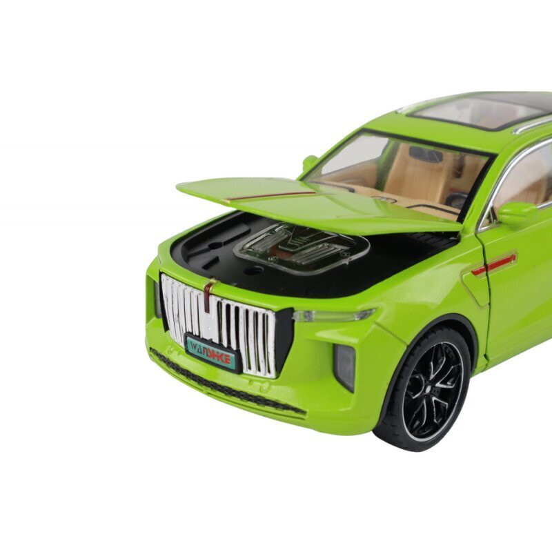 Leluauto Lean Toys RC Car Malli 1:24 C, vihreä hinta ja tiedot | Poikien lelut | hobbyhall.fi