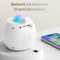 Kannettava Bluetooth-karaokelaite lapsille ja aikuisille, 2 langattomalla mikrofonilla, valkoinen hinta ja tiedot | Mikrofonit | hobbyhall.fi