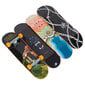 Otelauta Spin Master Tech Deck Maxallure hinta ja tiedot | Poikien lelut | hobbyhall.fi