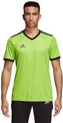 Miesten t-paita Adidas Table 18 JSY CE1716, vihreä. hinta ja tiedot | Miesten T-paidat | hobbyhall.fi