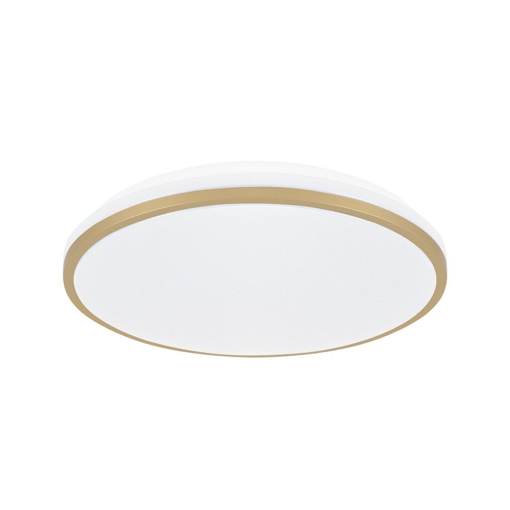 Plafond SMD LED LINUS LED C 18W NW hinta ja tiedot | Kattovalaisimet | hobbyhall.fi