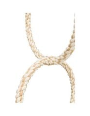 Lintujen keinu Trixie Rope rings, 16 cm, ruskea hinta ja tiedot | Lintulaudat ja lintuhäkit | hobbyhall.fi