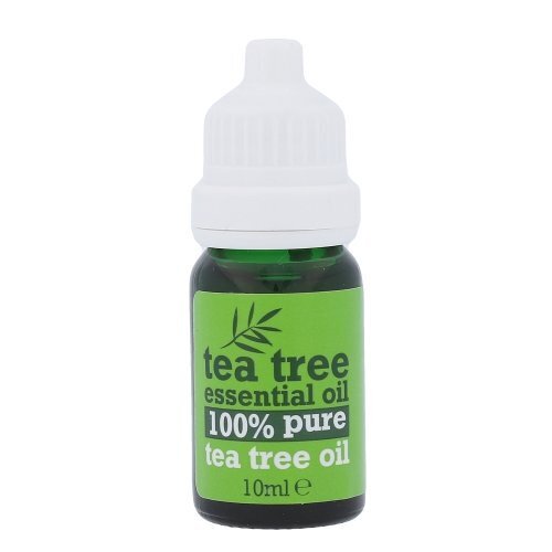 Xpel Tea Tree Essential Oil vartaloöljy 10 ml hinta ja tiedot | Eteeriset ja kosmeettiset öljyt | hobbyhall.fi