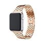 Fish Scale -älykellon ranneke Apple Watch Series 9/8/7 41mm/6/5/4/SE (2023)/SE(2022)/SE hinta ja tiedot | Älykellot | hobbyhall.fi