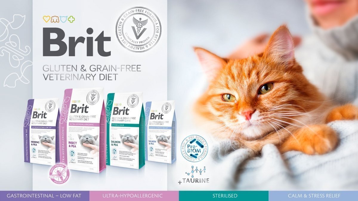 Brit Veterinary Gastrointestinal Low Fat 2kg hinta ja tiedot | Kissan kuivaruoka | hobbyhall.fi