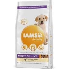 IAMS Advanced Nutrition Puppy Junior Large Breed, nuorille isokokoisille koirille kanoilla, 12 kg hinta ja tiedot | Koiran kuivaruoka | hobbyhall.fi