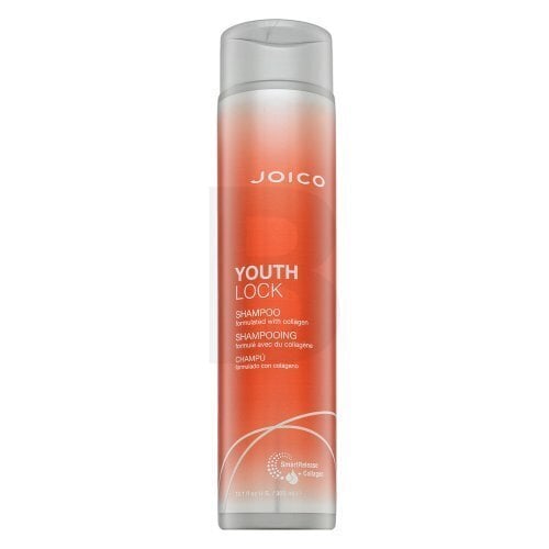 Joico Youth Lock Shampoo, 300 ml hinta ja tiedot | Shampoot | hobbyhall.fi