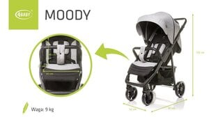 Lastenrattaat 4Baby Moody XXII, harmaa hinta ja tiedot | Vaunut ja rattaat | hobbyhall.fi