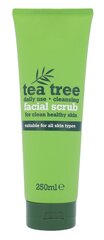 Xpel Tea Tree kuorintatuote 250 ml hinta ja tiedot | Xpel Kasvojenhoitotuotteet | hobbyhall.fi