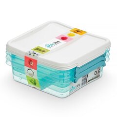 Ruoan säilytyslaatikkosarja Orplast Arctic Line Box, 0,6 l hinta ja tiedot | Elintarvikkeiden säilytysastiat | hobbyhall.fi
