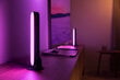 Philips Hue Play valopalkki tuplapakkaus (musta) hinta ja tiedot | LED-valonauhat | hobbyhall.fi