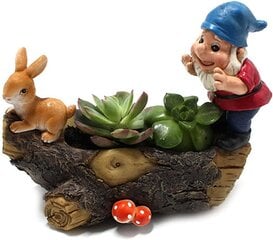 Mehevä kukkaruukku | Söpöt eläinkasviruukut | Resin Garden Gnome | Kaktusistutuskone toimiston kotipuutarhan sisustamiseen hinta ja tiedot | Koristeet ja tarrat | hobbyhall.fi