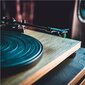 Audio Technica AT-LPW40WN hinta ja tiedot | Vinyylilevysoittimet ja gramofonit | hobbyhall.fi