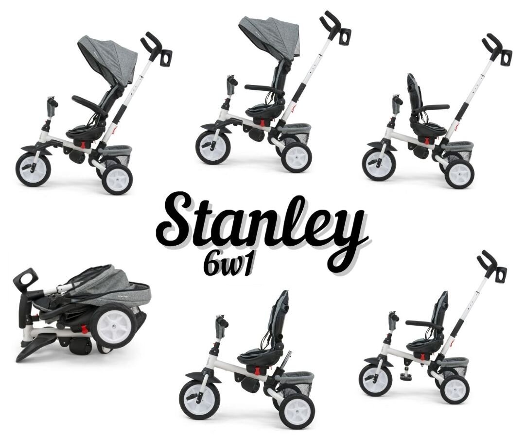 Milly Mally Stanley kolmipyörä, harmaa hinta ja tiedot | Kolmipyörät | hobbyhall.fi