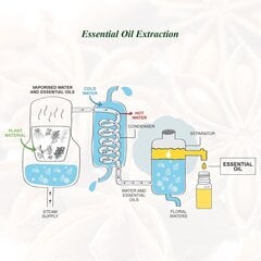 Mumianhua Spices eteeriset öljyt, 6 x 10 ml hinta ja tiedot | Eteeriset ja kosmeettiset öljyt | hobbyhall.fi