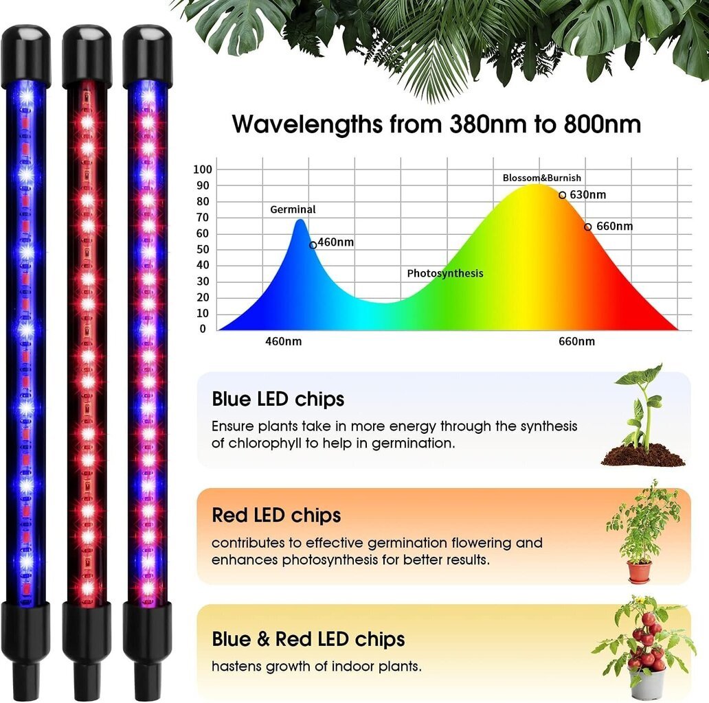 Valaisin sisäkasvien kasvattamiseen Wolezek BL-J20B hinta ja tiedot | Sisäpuutarhat ja kasvilamput | hobbyhall.fi