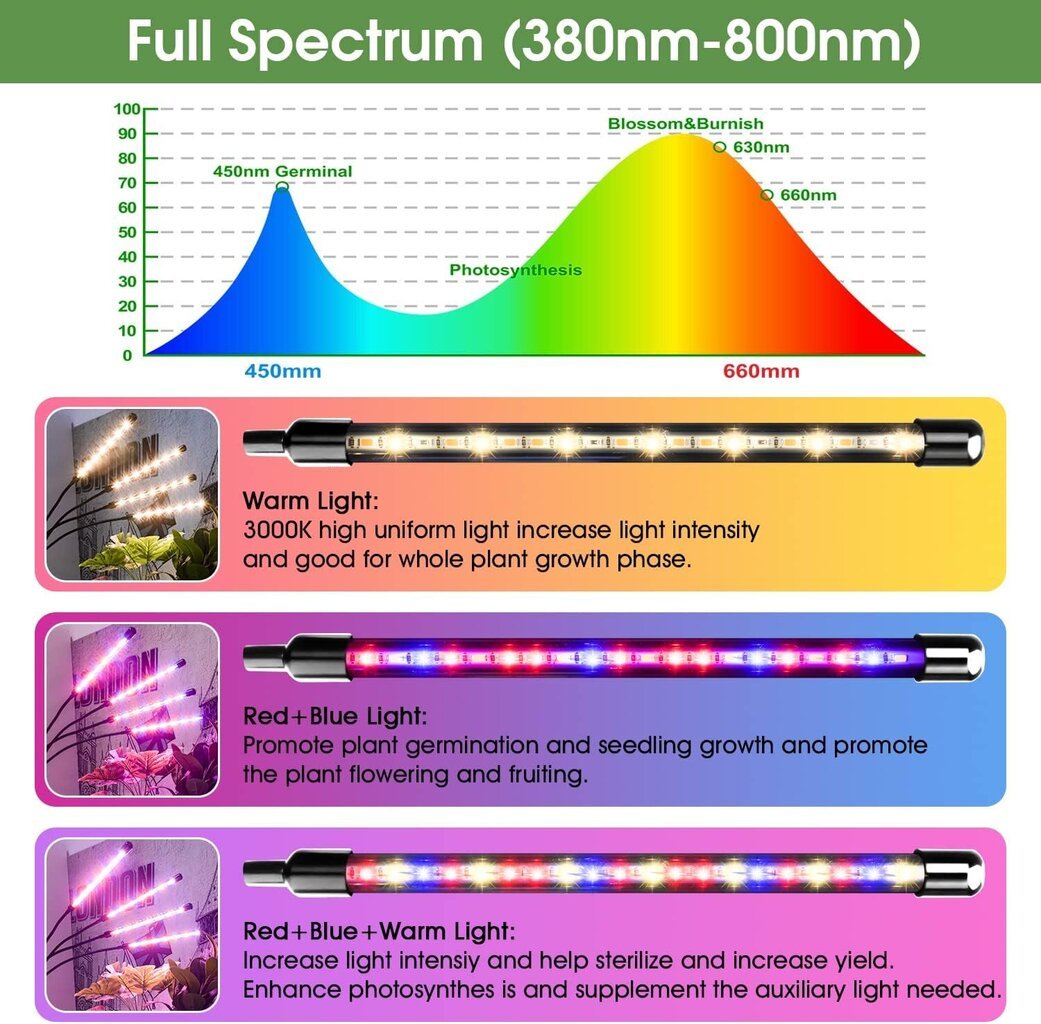 LED-kasvivalaisin Wolezek BL-J20B hinta ja tiedot | Sisäpuutarhat ja kasvilamput | hobbyhall.fi