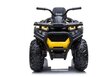 Sähköinen mönkijä lapsille Quad XMX607, keltainen, 3 vuotta + hinta ja tiedot | Lasten sähköautot | hobbyhall.fi