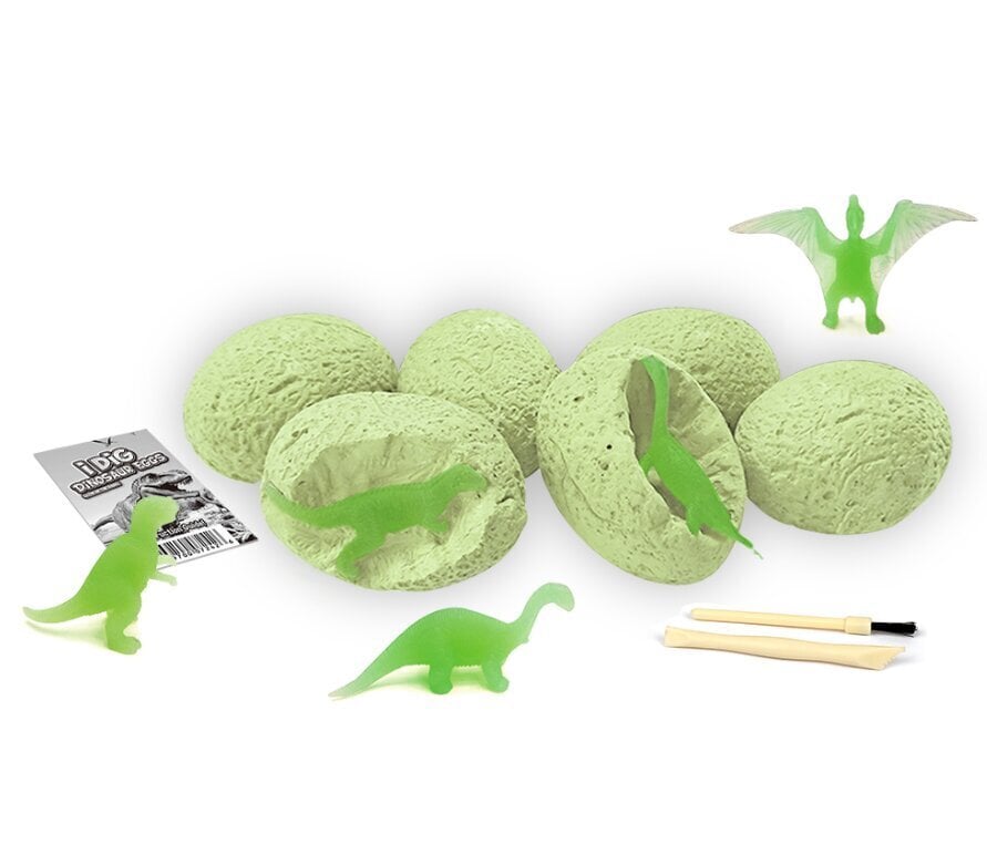 Tieteellinen arkeologinen tutkimuspakkaus - Dinosauruksen munat, pimeässä hohtavat, 12 kpl hinta ja tiedot | Kehittävät lelut | hobbyhall.fi