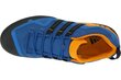 Miesten lenkkarit Adidas Terrex Swift Solo AQ5296, sininen hinta ja tiedot | Miesten urheilu- ja vapaa-ajan kengät | hobbyhall.fi