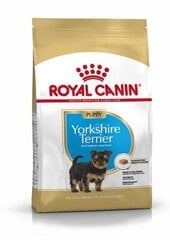 Royal Canin Yorkshirenterrieri Junior 0,5 kg hinta ja tiedot | Koiran kuivaruoka | hobbyhall.fi