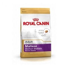 Royal Canin Maltese 0,5 g hinta ja tiedot | Koiran kuivaruoka | hobbyhall.fi