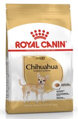 Royal Canin Chihuahua Adult 1,5 kg hinta ja tiedot | Koiran kuivaruoka | hobbyhall.fi
