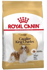 Royal Canin Cavalier king charles koiranruoka Aikuinen, 1,5 kg hinta ja tiedot | Koiran kuivaruoka | hobbyhall.fi