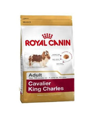 Royal Canin Cavalier king charles koiranruoka Aikuinen, 1,5 kg hinta ja tiedot | Koiran kuivaruoka | hobbyhall.fi