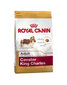 Royal Canin Cavalier king charles koiranruoka Aikuinen, 1,5 kg hinta ja tiedot | Koiran kuivaruoka | hobbyhall.fi