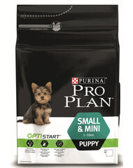 Pro Plan pennuille Small and Mini, 3 kg hinta ja tiedot | Koiran kuivaruoka | hobbyhall.fi