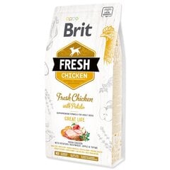 Brit Fresh Chicken with Potato Adult täysravinto aikuisille koirille 12 kg hinta ja tiedot | Koiran kuivaruoka | hobbyhall.fi