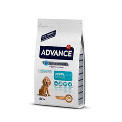 Advance Puppy Medium kasvaville pennuille kanan ja riisin kanssa, 3 kg hinta ja tiedot | Koiran kuivaruoka | hobbyhall.fi
